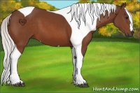 Horse Color:Silver Bay Tobiano