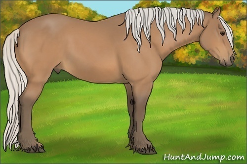 Horse Color:Silver Buckskin 