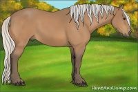 Horse Color:Silver Buckskin