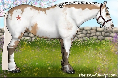 Horse Color:White Spotted Silver Buckskin Splash Frame 