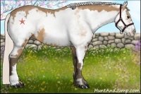 Horse Color:White Spotted Silver Buckskin Splash Frame