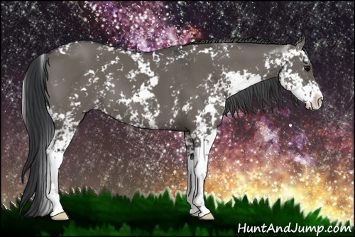 Horse Color:Grullo Sabino 