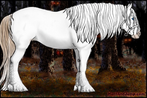 Horse Color:Chestnut Sabino Splash Blanket