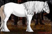 Horse Color:Chestnut Sabino Splash Blanket
