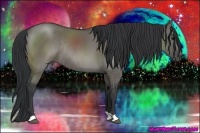 Horse Color:Grullo Rabicano 