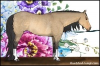 Horse Color:Buckskin Dun Rabicano 