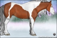 Horse Color:Bay Tobiano 