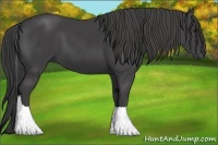 Horse Color:Smoky Black Tobiano 