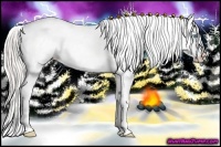 Horse Color:Cremello Splash Snowcap 