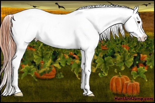 Horse Color:White Spotted Classic Champagne Splash Frame Varnish