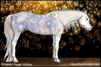 Horse Color:Palomino Roan Splash Blanket 