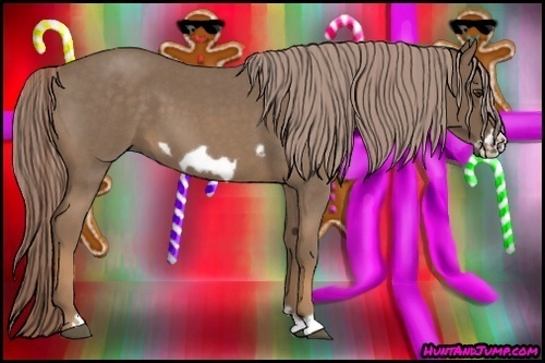 Horse Color:Chocolate Palomino Roan Frame
