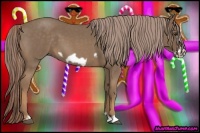 Horse Color:Chocolate Palomino Roan Frame 