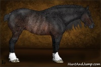 Horse Color:Brown Ice Rabicano