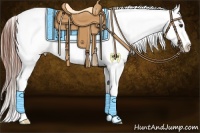 Horse Color:White Spotted Bay Tobiano Snowcap 