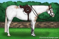 Horse Color:Black Pearl Sabino Tobiano Frame Rabicano