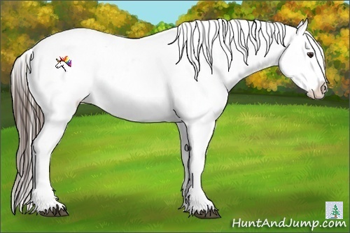 Horse Color:Liver Red Roan Appaloosa 
