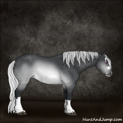 Horse Color:Silver Brown Chinchilla Splash Frame