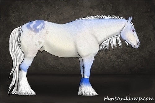Horse Color:Watercolor Silver Bay Chinchilla Sabino Tobiano Varnish Rabicano 
