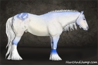 Horse Color:Watercolor Silver Bay Chinchilla Sabino Tobiano Varnish Rabicano 
