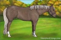 Horse Color:Silver Black 