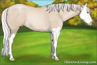 Horse Color:Silver Smoky Black Pearl Splash Rabicano