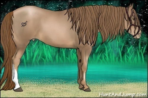 Horse Color:Liver Chestnut Pearl 