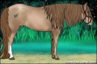 Horse Color:Liver Chestnut Pearl 