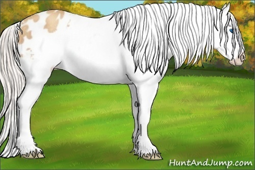 Horse Color:Silver Amber Champagne Roan Splash Frame Varnish Rabicano 
