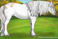 Horse Color:Silver Amber Champagne Roan Splash Frame Varnish Rabicano 
