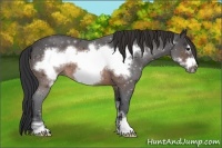 Horse Color:Brown Sabino Frame
