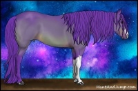 Horse Color:Watercolor Bay 