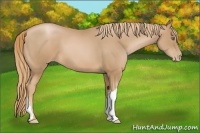 Horse Color:Chestnut Pearl 