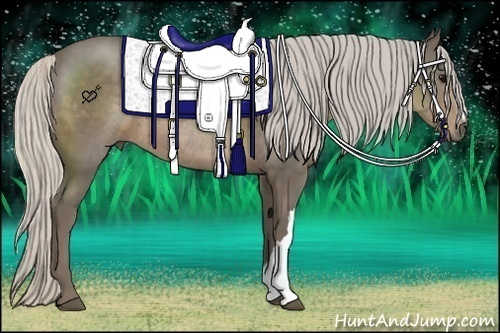 Horse Color:Silver Smoky Black Rabicano 