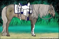 Horse Color:Silver Smoky Black Rabicano