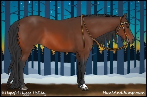 Horse Color:Bay Sabino 