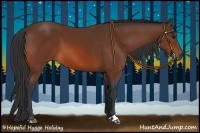 Horse Color:Bay Sabino 