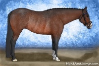 Horse Color:Bay Rabicano 