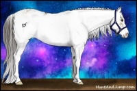 Horse Color:Liver Red Dun Sabino 