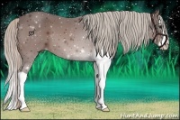 Horse Color:Silver Bay Splash 