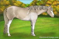 Horse Color:White Spotted Liver Chestnut Pearl