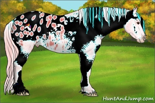 Horse Color:Watercolor Chocolate Palomino Appaloosa 