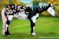 Horse Color:Watercolor Chocolate Palomino Appaloosa 