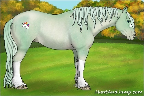 Horse Color:Watercolor Chocolate Palomino Pearl Rabicano