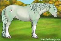 Horse Color:Watercolor Chocolate Palomino Pearl Rabicano 