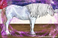 Horse Color:Bay Dun Splash Tobiano Appaloosa 