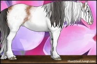 Horse Color:White Spotted Bay Sabino Splash 
