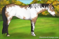 Horse Color:Brown Dun Frame