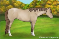 Horse Color:Grullo Pearl Sabino