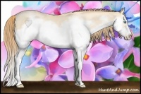 Horse Color:Buckskin Pearl Splash Frame